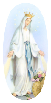 DASOV 113 Lady of the Miraculous Medal B